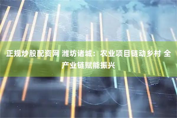 正规炒股配资网 潍坊诸城：农业项目链动乡村 全产业链赋能振兴