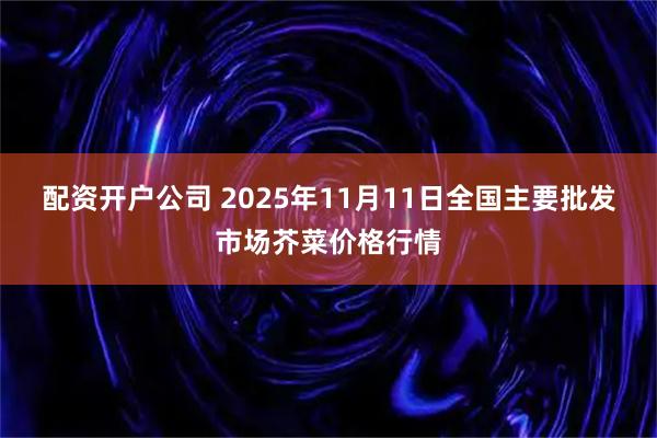 配资开户公司 2025年11月11日全国主要批发市场芥菜价格行情