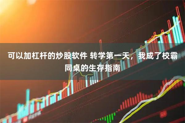 可以加杠杆的炒股软件 转学第一天，我成了校霸同桌的生存指南